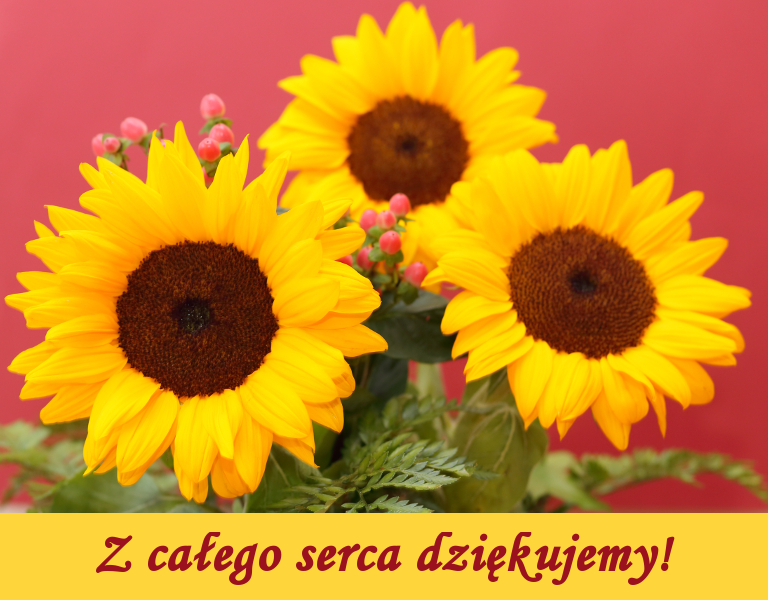Fotografia: Bukiet słonecznik&oacute;w; podpis: Z całego serca dziękujemy!